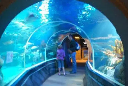 Hotel Park Aqua Dom & Sea Life Berlin