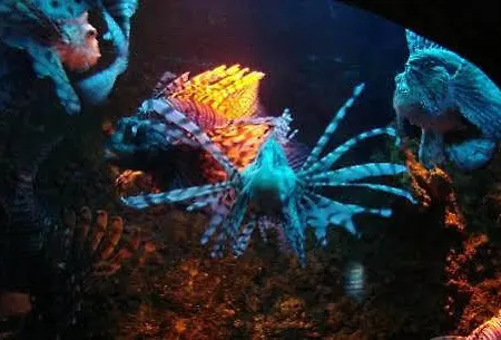 Park Aqua Dom & Sea Life 3*