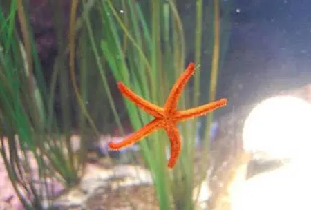 Park Aqua Dom & Sea Life Hotel 3*